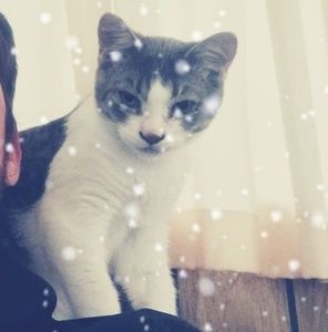 Meet your Posher, Maximus